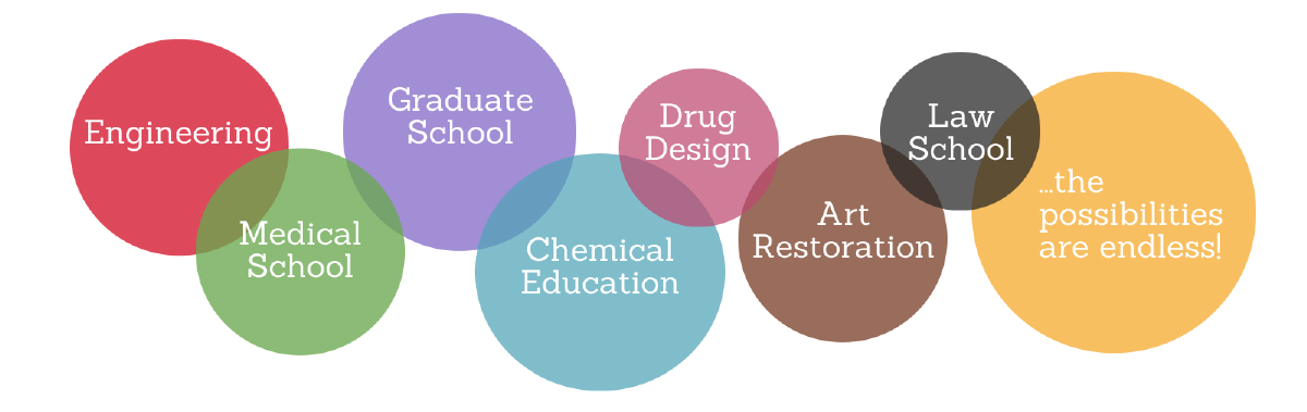 Chemistry career paths 