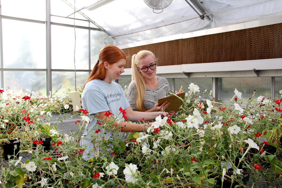 Students examining plants in greenhouse